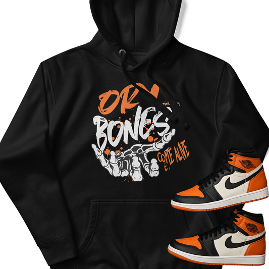 Dry Bones Come Alive / Unisex Hoodie